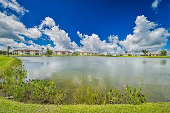 Expansive lakefront setting with lush green banks and native aquatic foliage