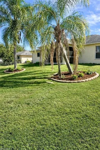 View of green lawn