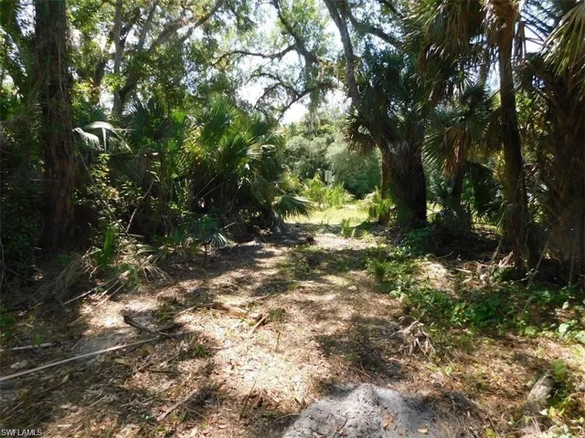 14971  Duke  HWY, Alva, FL 33920