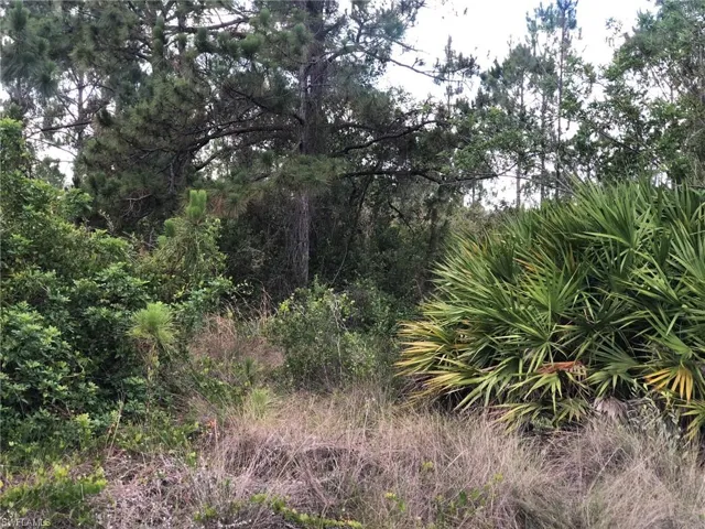 815 State Ave, Lehigh Acres, Florida 33972