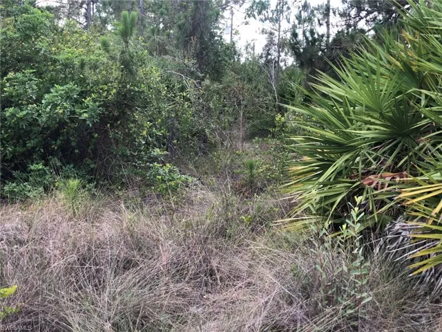 815 State Ave, Lehigh Acres, Florida 33972