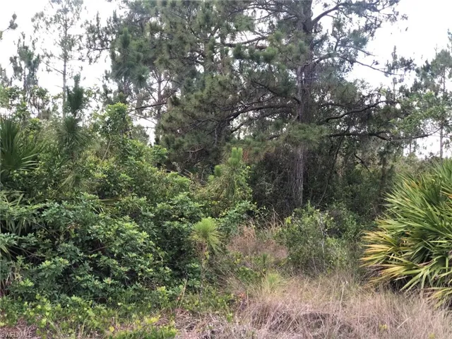 815 State Ave, Lehigh Acres, Florida 33972