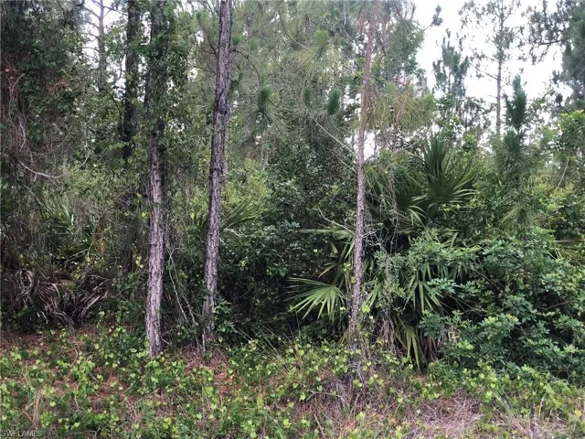 815 State Ave, Lehigh Acres, Florida 33972