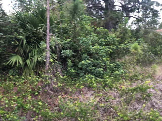 815 State Ave, Lehigh Acres, Florida 33972