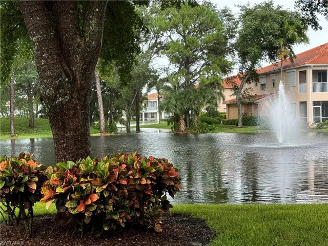 Water view