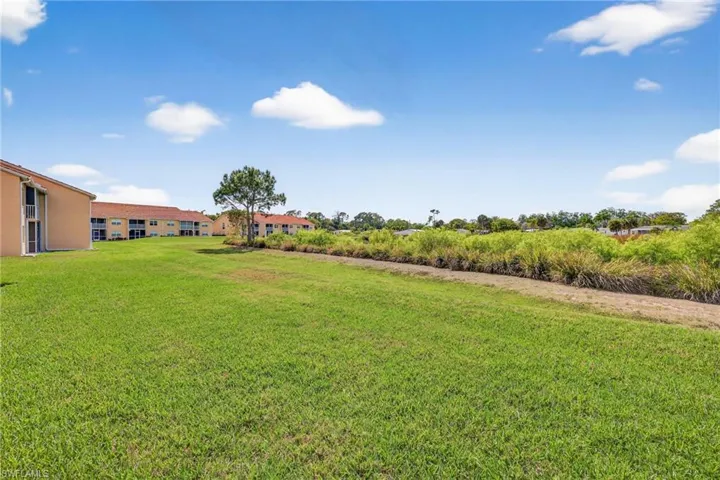 View of grassy yard