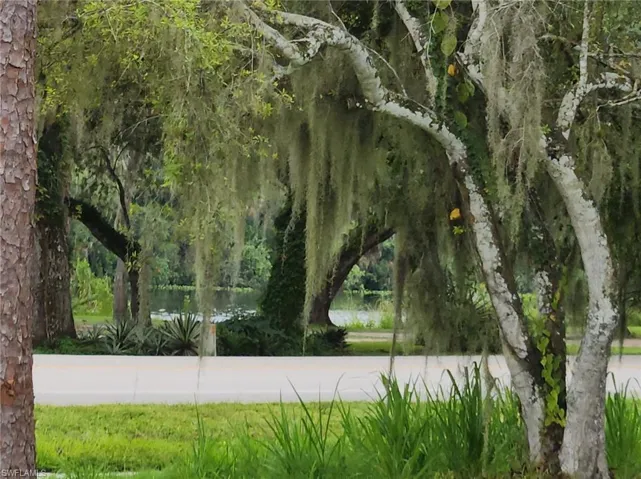 Caloosahatchee River view
