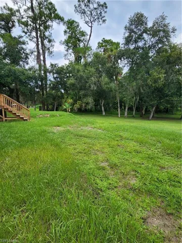 Rear yard view