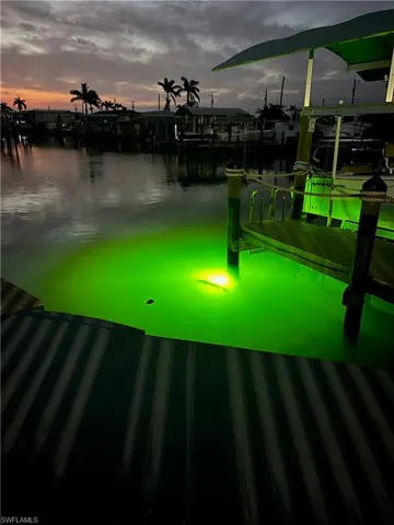 New snook light and a visiting snook in the canal!