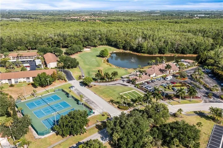 Drone / aerial view of a forest and a large body of water