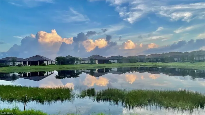 Waterfront properties featuring a natural pond with abundant vegetation and direct water access