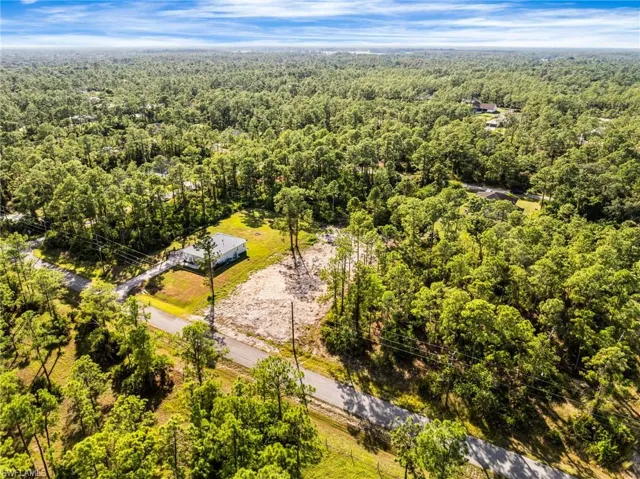 Drone / aerial view of a forest