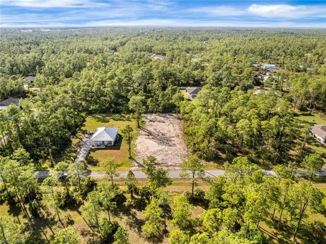 Drone / aerial view of a forest
