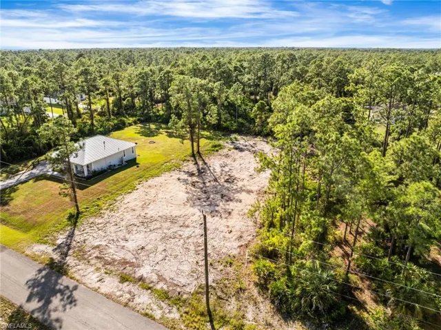 View of subject property featuring a forest