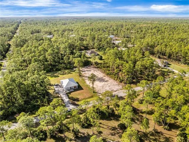 Drone / aerial view of a forest