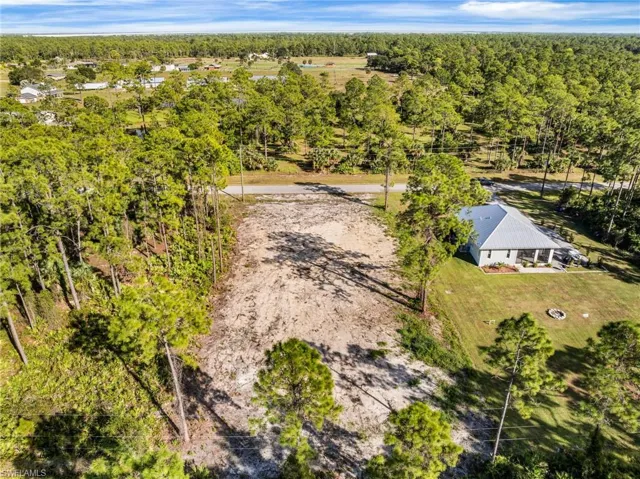 Drone / aerial view of a forest