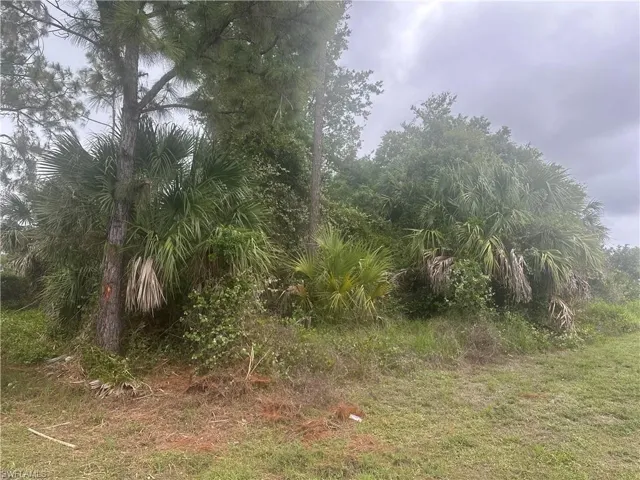View of undeveloped land
