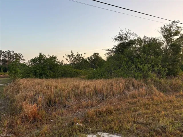 View of nature at dusk