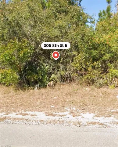 305 E 8th St, Lehigh Acres, Florida 33972