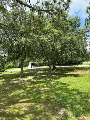 View of grassy yard