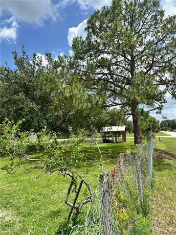 View of green lawn