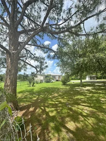 View of grassy yard