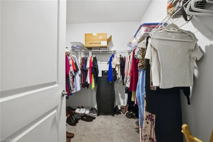 Walk in closet with carpet