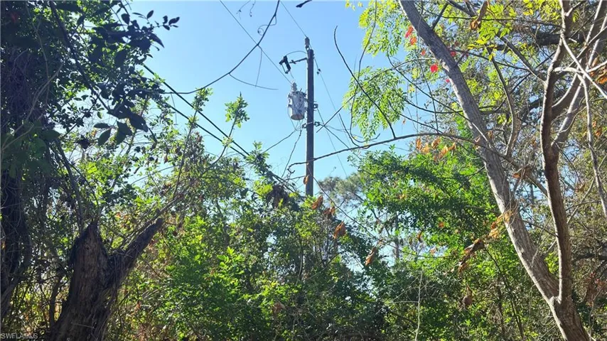 Electrical pole in the back right side of the property.
