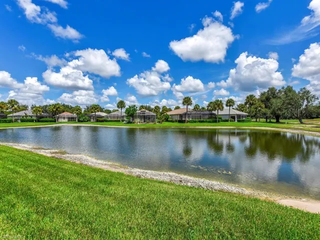 Peaceful Lake View