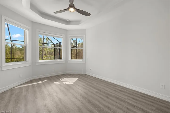 Unfurnished room featuring a raised ceiling, ceiling fan, light hardwood / wood-style flooring, and a healthy amount of sunlight