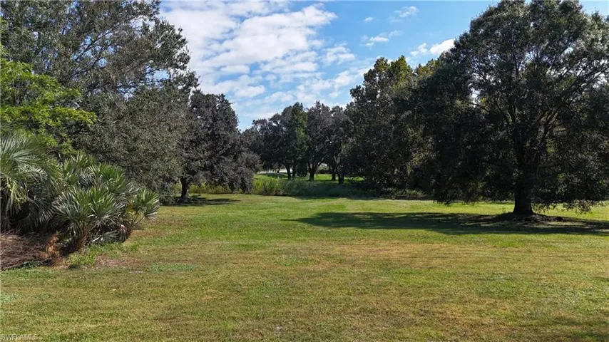 View of grassy yard featuring view of scattered trees