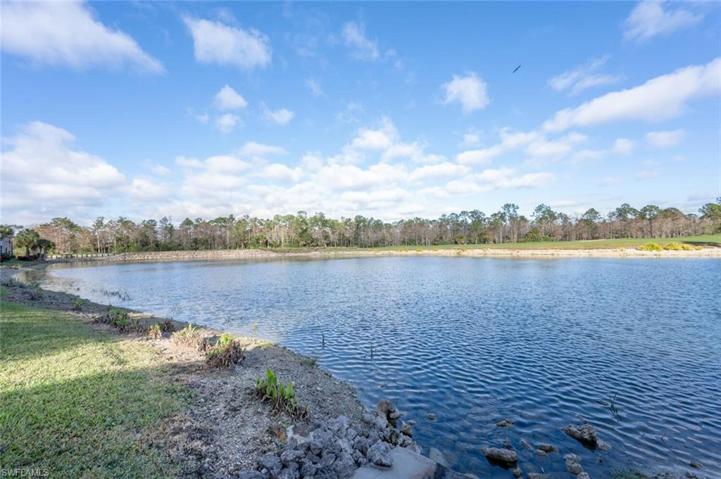 7635 Arbor Lakes CT # 2412, NAPLES FL 34112