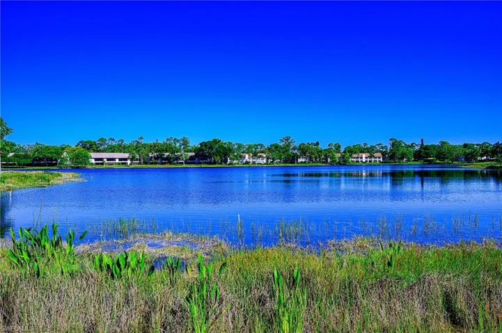 Long Lake View Behind the Home