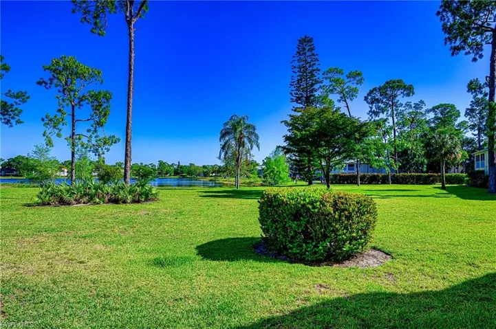 Yard Behind the Home