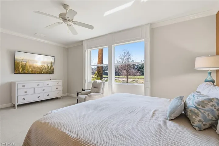 Ceiling fan, crown molding, double window, wall-mounted television, and carpeting