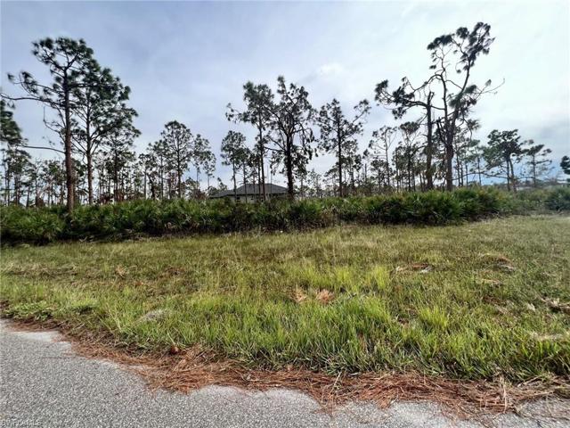 9  Boom  LN, PLACIDA, FL 33946