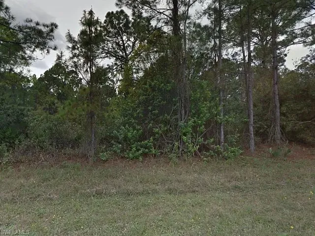 View of nature with a view of trees