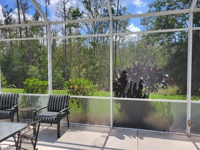 View of preserve area from patio.