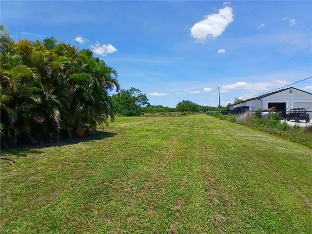 Expansive grassy lot featuring mature tropical foliage along the left. Pond by tree in back.