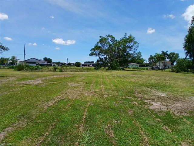 Expansive cleared lot featuring mature trees at the perimeter, open grassy areas, and distant structures