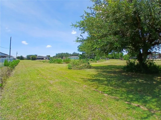 Expansive green lawn with a large mature tree providing natural shade