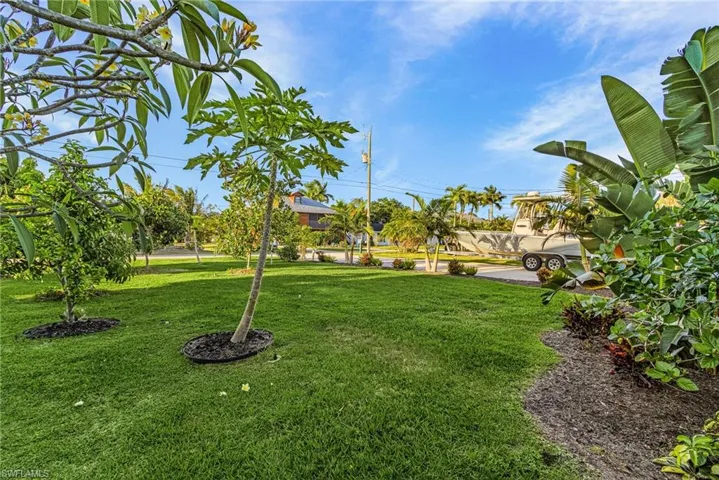 Expansive green lawn with mature tropical foliage and a variety of trees, including a frangipani