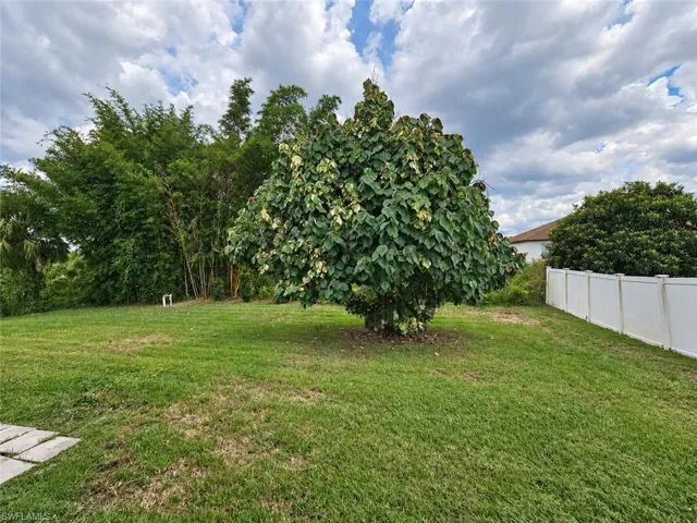 Spacious lawn area with established tree, decorative bamboo, and a white privacy fence