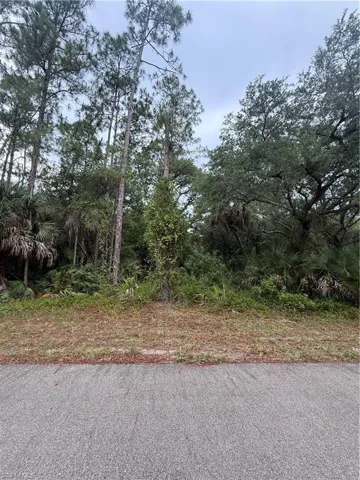 1659 Lake Ave, Lehigh Acres, Florida 33972