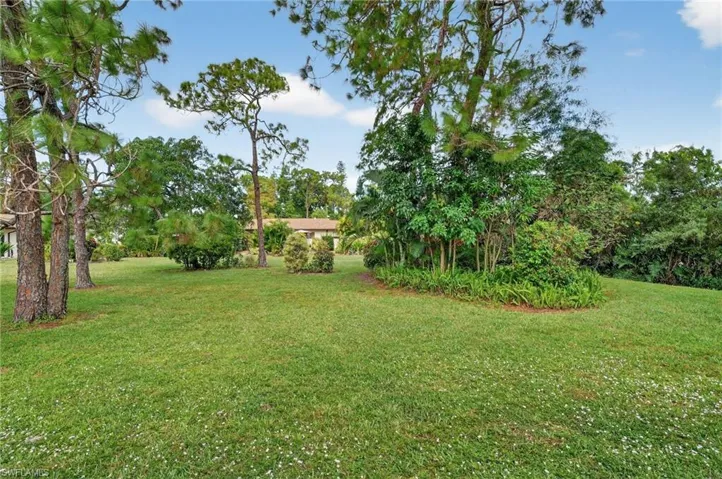 Yard views