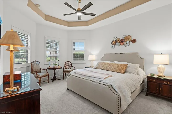 Bedroom featuring a tray ceiling, multiple windows, ceiling fan, and light carpet