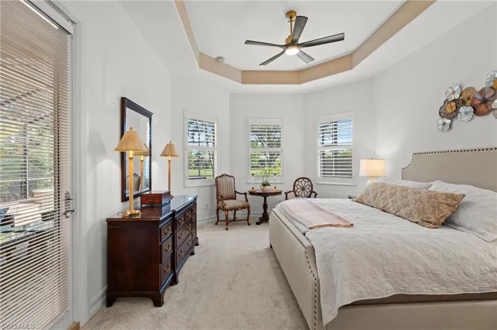 Bedroom featuring multiple windows, light colored carpet, baseboards, and a raised ceiling