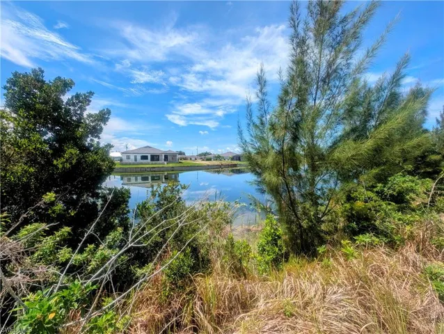 Freshwater view of the Gator Slough Canal from the back of the vacant lot