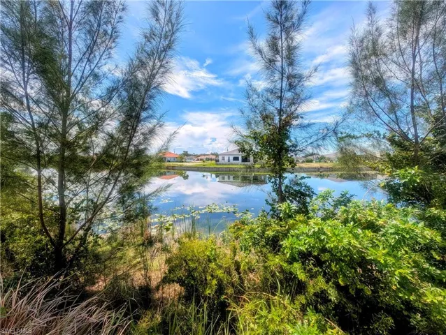 Freshwater view of the Gator Slough Canal from the back of the vacant lot