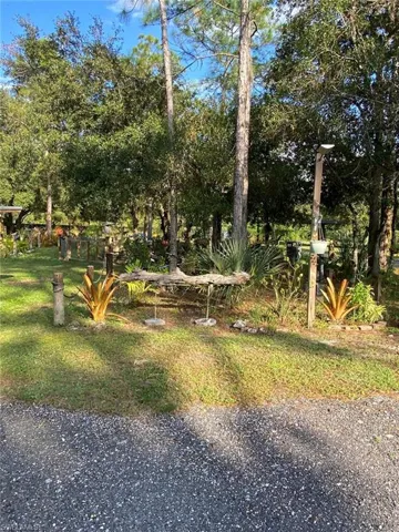 View of grassy yard with view of wooded area
